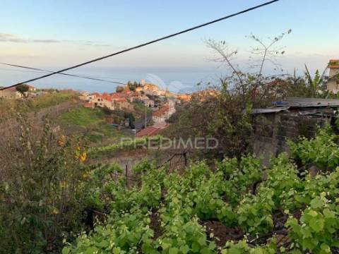 Terreno rústico 2147m2 na ponta do sol - ilha da madeira