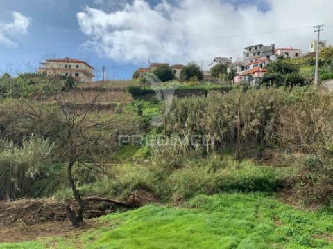 Terreno rústico 2147m2 na ponta do sol - ilha da madeira
