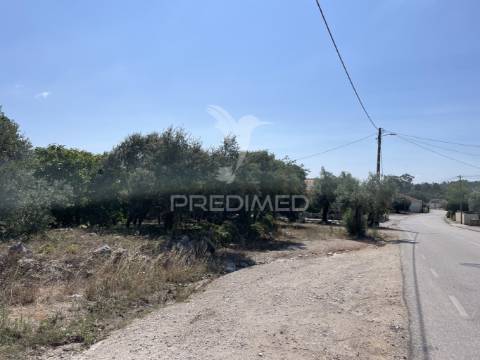 Terreno para construção no moimento, fátima