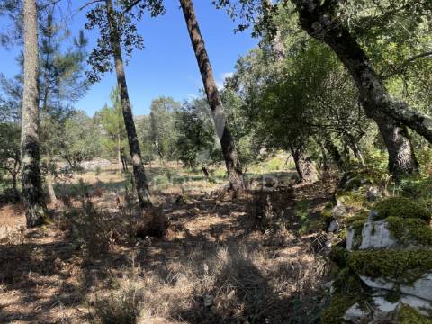 Terreno para construção no moimento, fátima