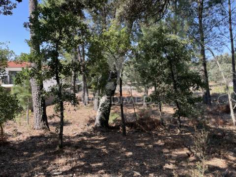 Terreno para construção no moimento, fátima
