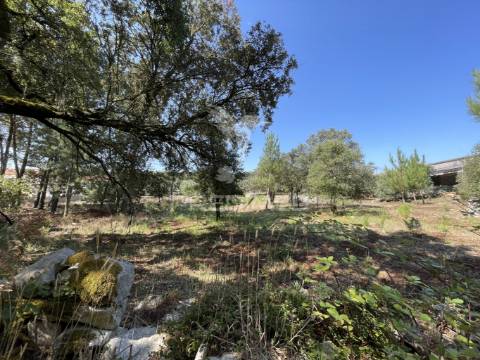 Terreno para construção no moimento, fátima