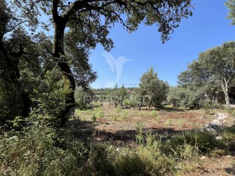 Terreno para construção no moimento, fátima