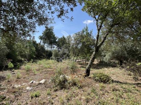 Terreno para construção no moimento, fátima