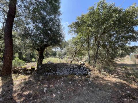 Terreno para construção no moimento, fátima
