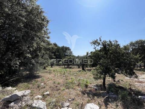 Terreno para construção no moimento, fátima