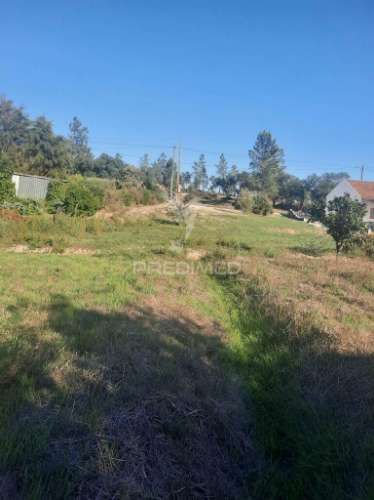 Terreno com 12177m2