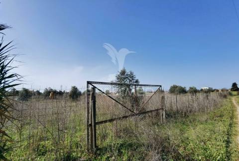 Terreno rústico vedado com 9,600.00m2