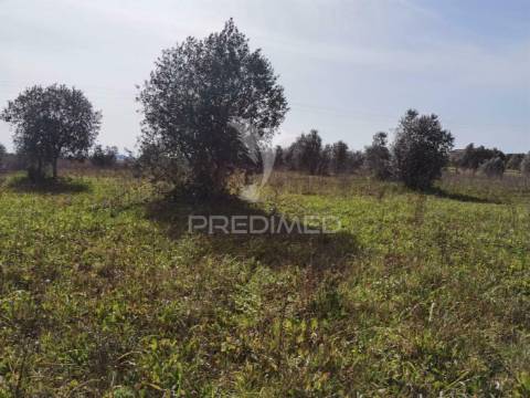 Terreno rústico vedado com 9,600.00m2
