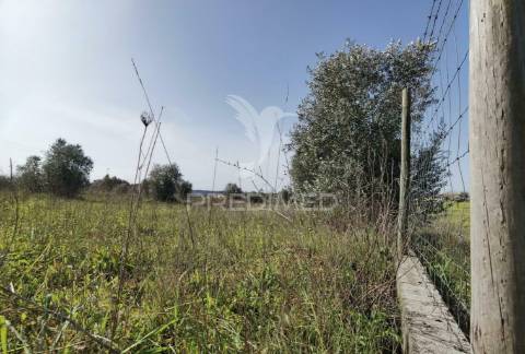 Terreno rústico vedado com 9,600.00m2