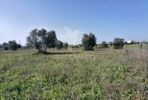Terreno rústico vedado com 9,600.00m2