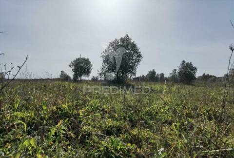 Terreno rústico vedado com 9,600.00m2