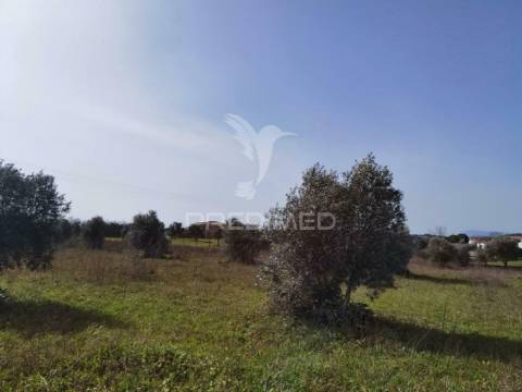 Terreno rústico vedado com 9,600.00m2