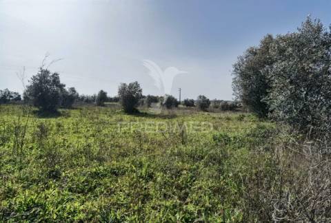Terreno rústico vedado com 9,600.00m2