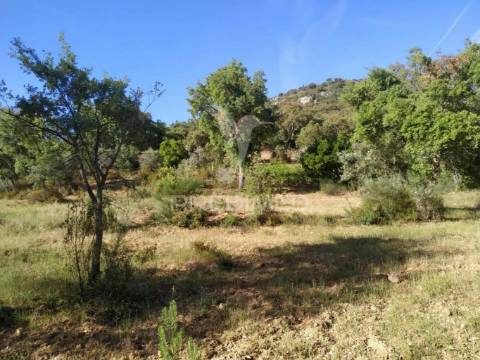 Terreno agrícola em alegrete