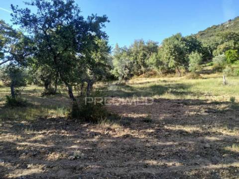 Terreno agrícola em alegrete