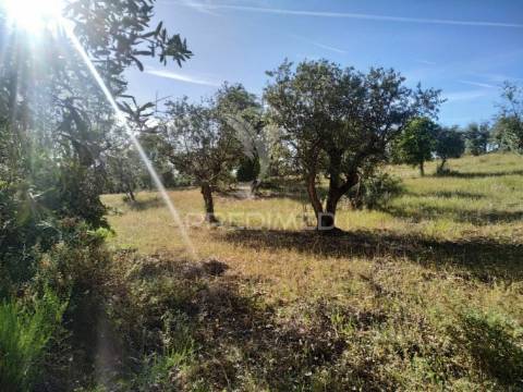 Terreno agrícola em alegrete