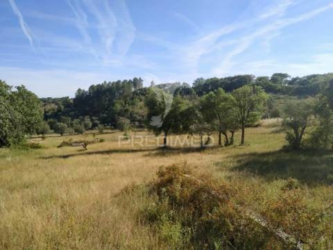Terreno agrícola em alegrete