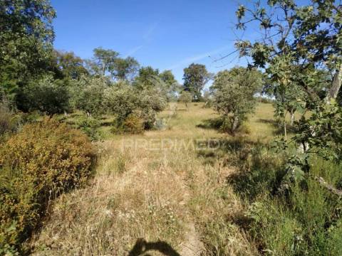 Terreno agrícola em alegrete