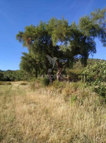 Terreno agrícola em alegrete
