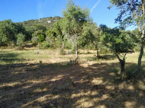 Terreno agrícola em alegrete