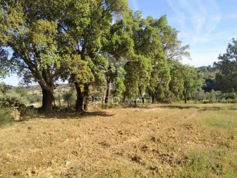 Terreno agrícola em alegrete