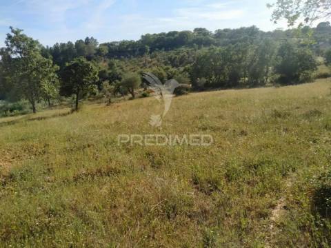 Terreno agrícola em alegrete