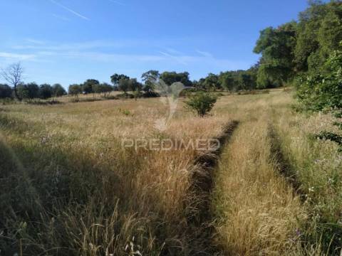 Terreno agrícola em alegrete