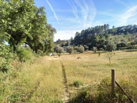Terreno agrícola em alegrete
