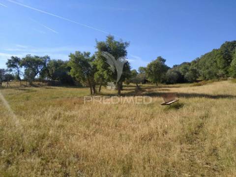 Terreno agrícola em alegrete