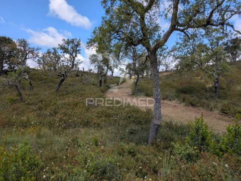 Terreno em santa margarida da serra