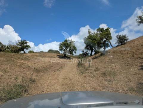 Terreno em santa margarida da serra