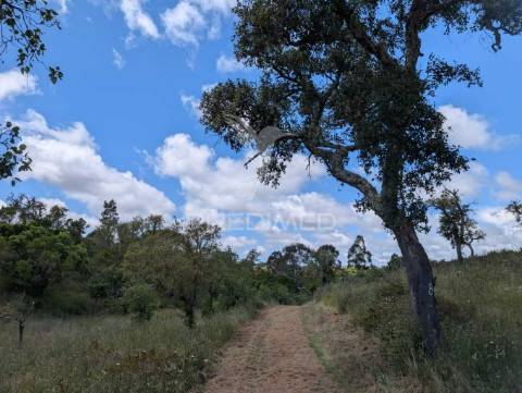 Terreno em santa margarida da serra