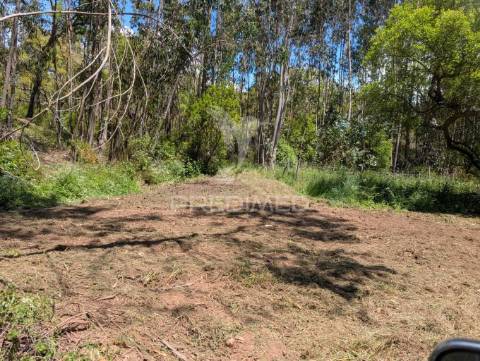 Terreno em santa margarida da serra