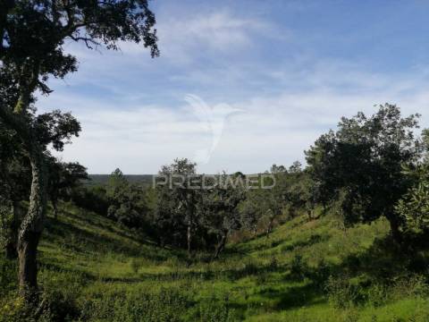 Terreno em santa margarida da serra