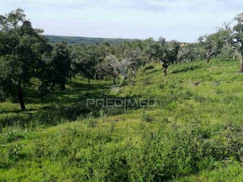 Terreno em santa margarida da serra