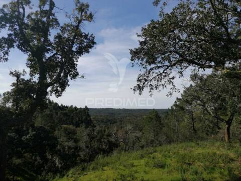 Terreno em santa margarida da serra