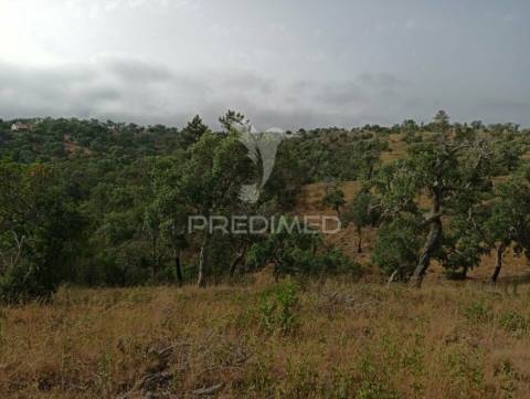 Terreno em santa margarida da serra