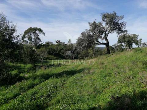 Terreno em santa margarida da serra