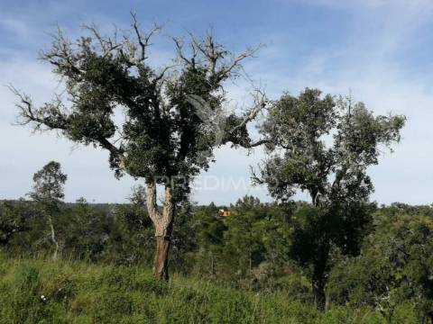 Terreno em santa margarida da serra