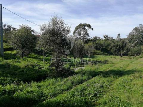 Terreno em santa margarida da serra