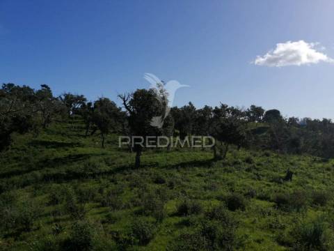 Terreno em santa margarida da serra