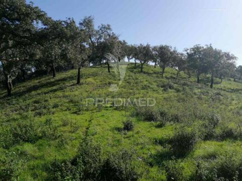 Terreno em santa margarida da serra