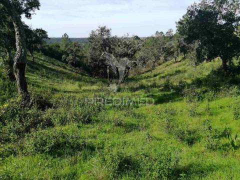 Terreno em santa margarida da serra