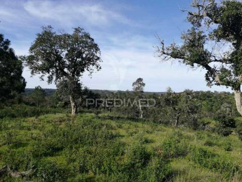 Terreno em santa margarida da serra