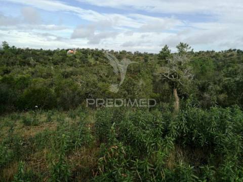 Terreno em santa margarida da serra