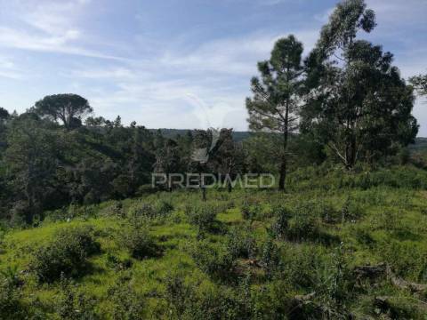 Terreno em santa margarida da serra