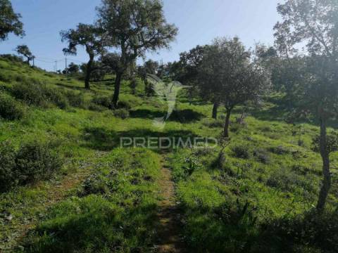 Terreno em santa margarida da serra