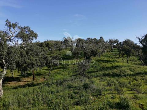 Terreno em santa margarida da serra
