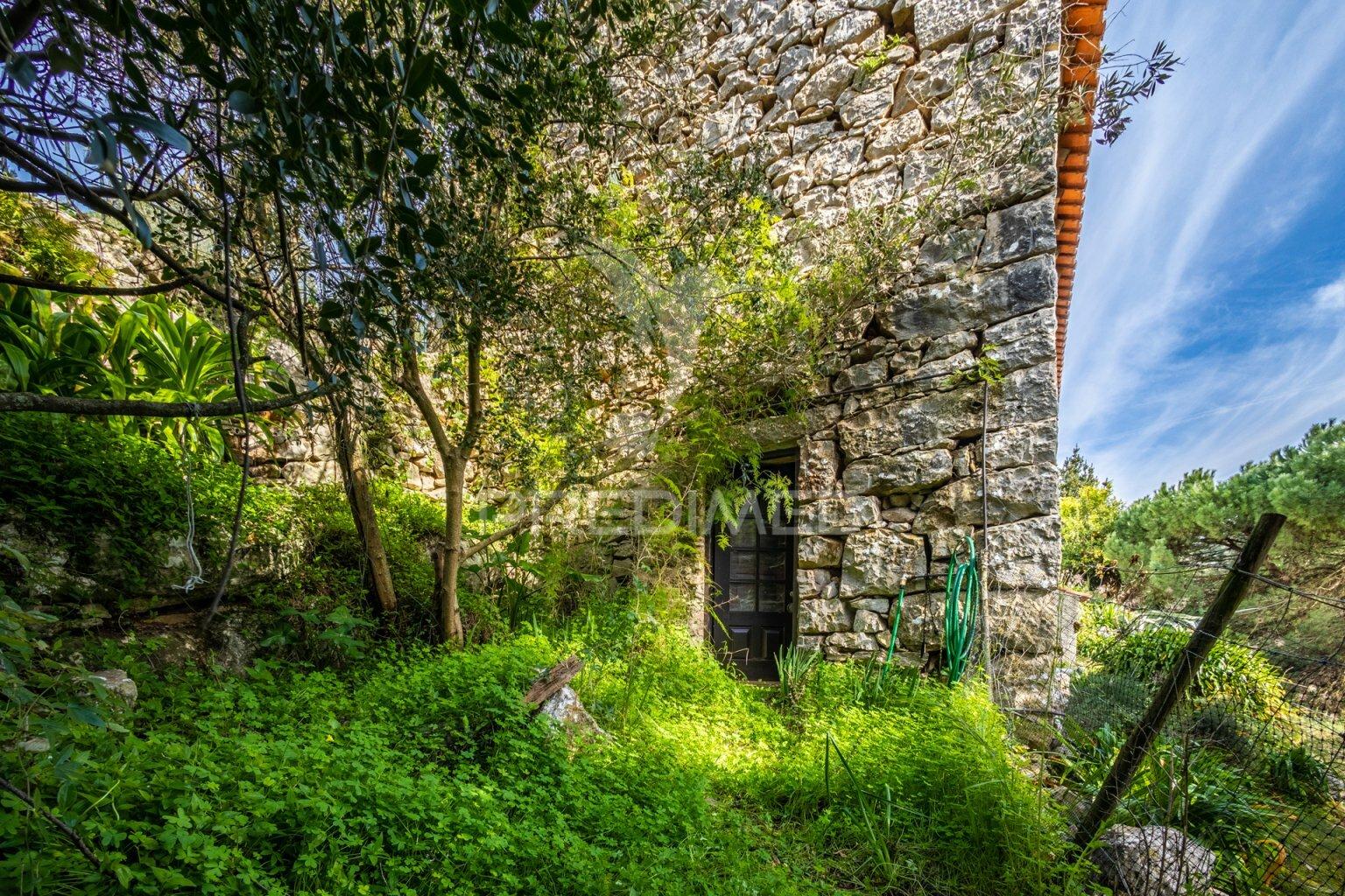 Moradia t4 - aljubarrota